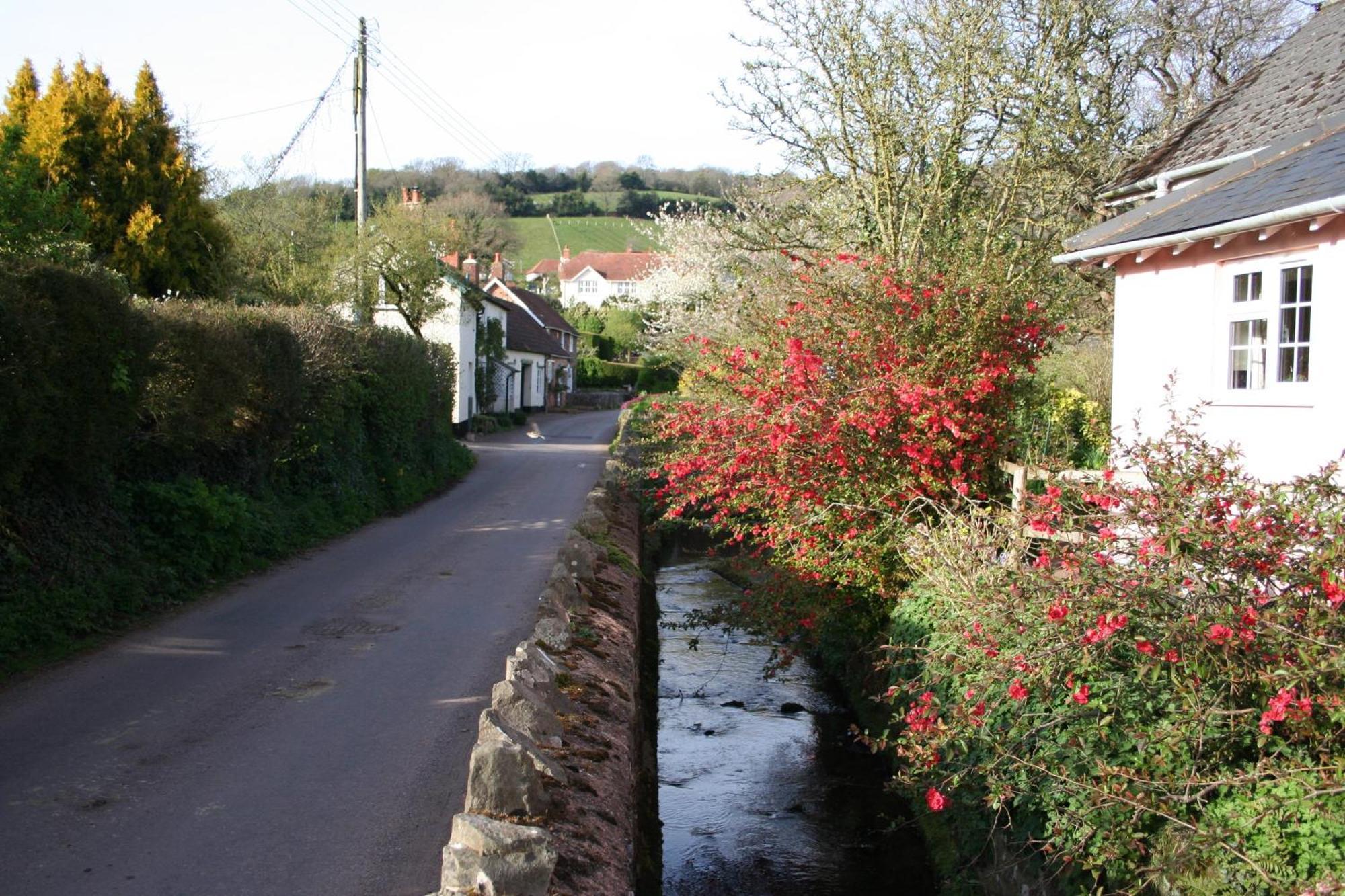 Forge Cottage Minehead Exterior photo
